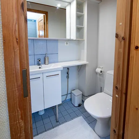 בית נופש Center Alpine B2