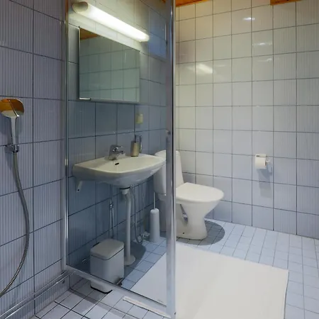 Center Alpine B2 * Levi